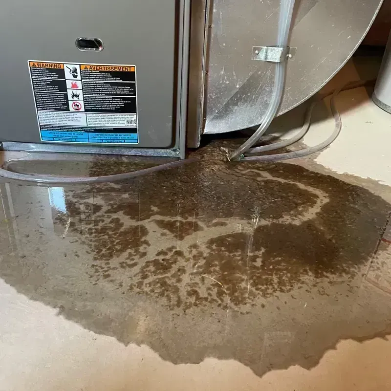 Appliance Leak Cleanup in Medford, NY